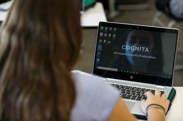 girl looking at laptop girl looking at laptop